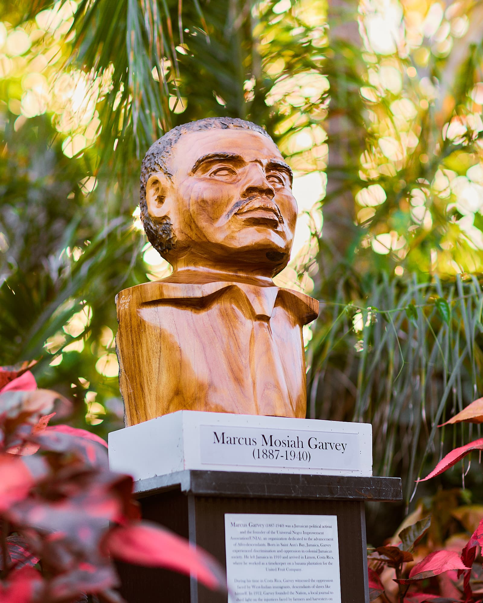 Rooted in Afro-Caribbean heritage